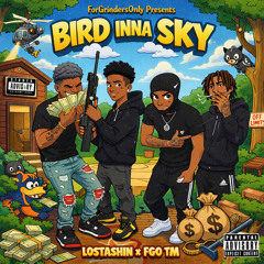 Bird Inna sky feat TM FGO