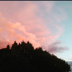 Sunrise (2016 vibes)