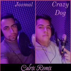 Crazy Dog & Josmal - Son Las Mujeres (Calrix Remix)