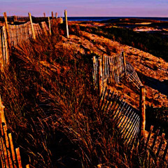 "Xeric Dunes" *SoundCloud Exclusive*