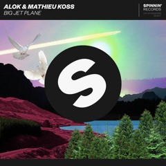 Alok & Mathieu Koss - Big Jet Plane (Gabzy & Reeck Bootleg) [FREE DOWNLOAD]