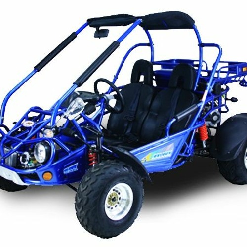 Comfort And Durable TrailMaster 300CC Go-kart Great For Adults
