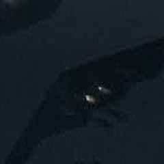 Stealth