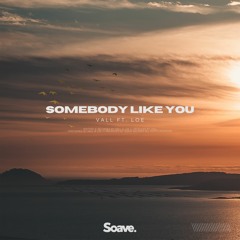 Vall - Somebody Like You (ft. Loé)