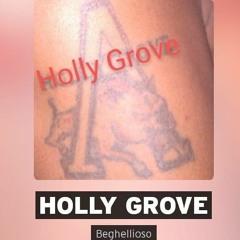 Holly Grove