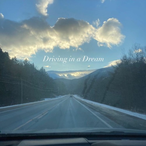 Driving In A Dream