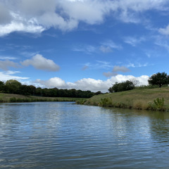 Someday We'll Find Out