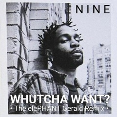 Nine - What'cha Want? (elePHANT Gerald Remix)