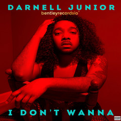 I Don't Wanna