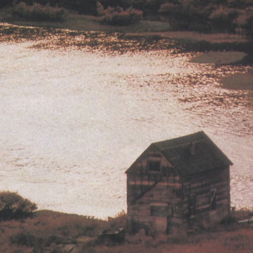 Forager Records - Jeffrey Silverstein takeover 200723