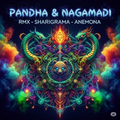 Pandha & Naghamadi RMX - Sharigrama - Anemona X - 88% in Process (Extended Edit)
