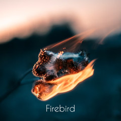 Firebird