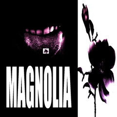 MAGNOLIA prod. BD150