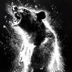 Hawt🔥Takez - Cocaine Bear Review