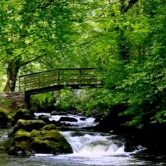 Relaxing River Sounds - Gentle River, Nature Sounds, Singing Birds Ambience LiiYMEWKVnY