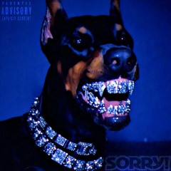 SORRY