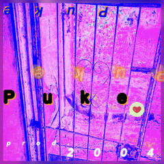 Puke prod.2004
