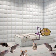 rats ft. debbie