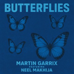 Butterflies- DJ STREK (Flip Edition)