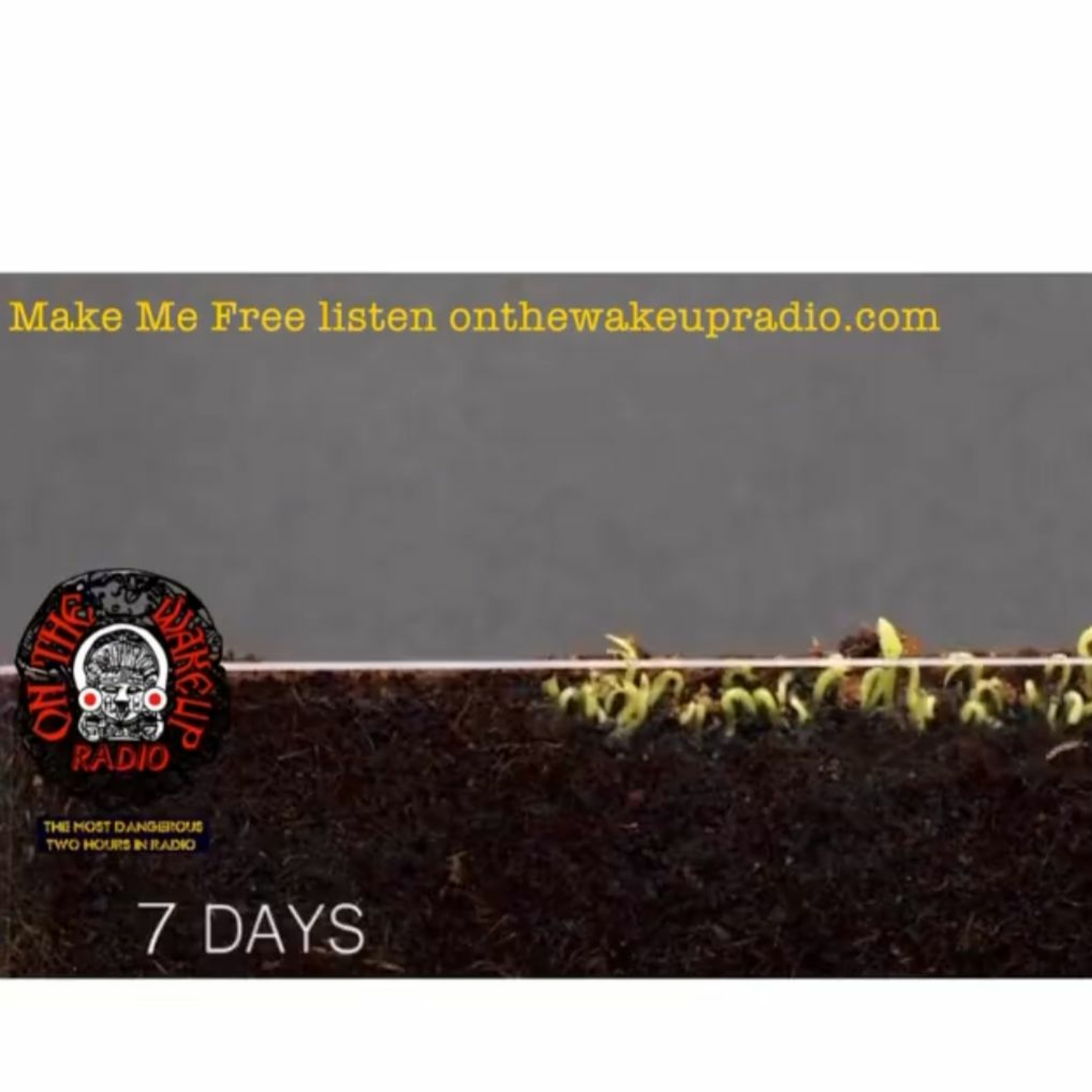 ON THE WAKE UP RADIO