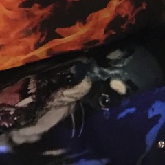 REC010.WAV "Geminae flammae"