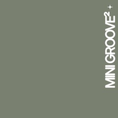 mini groove²