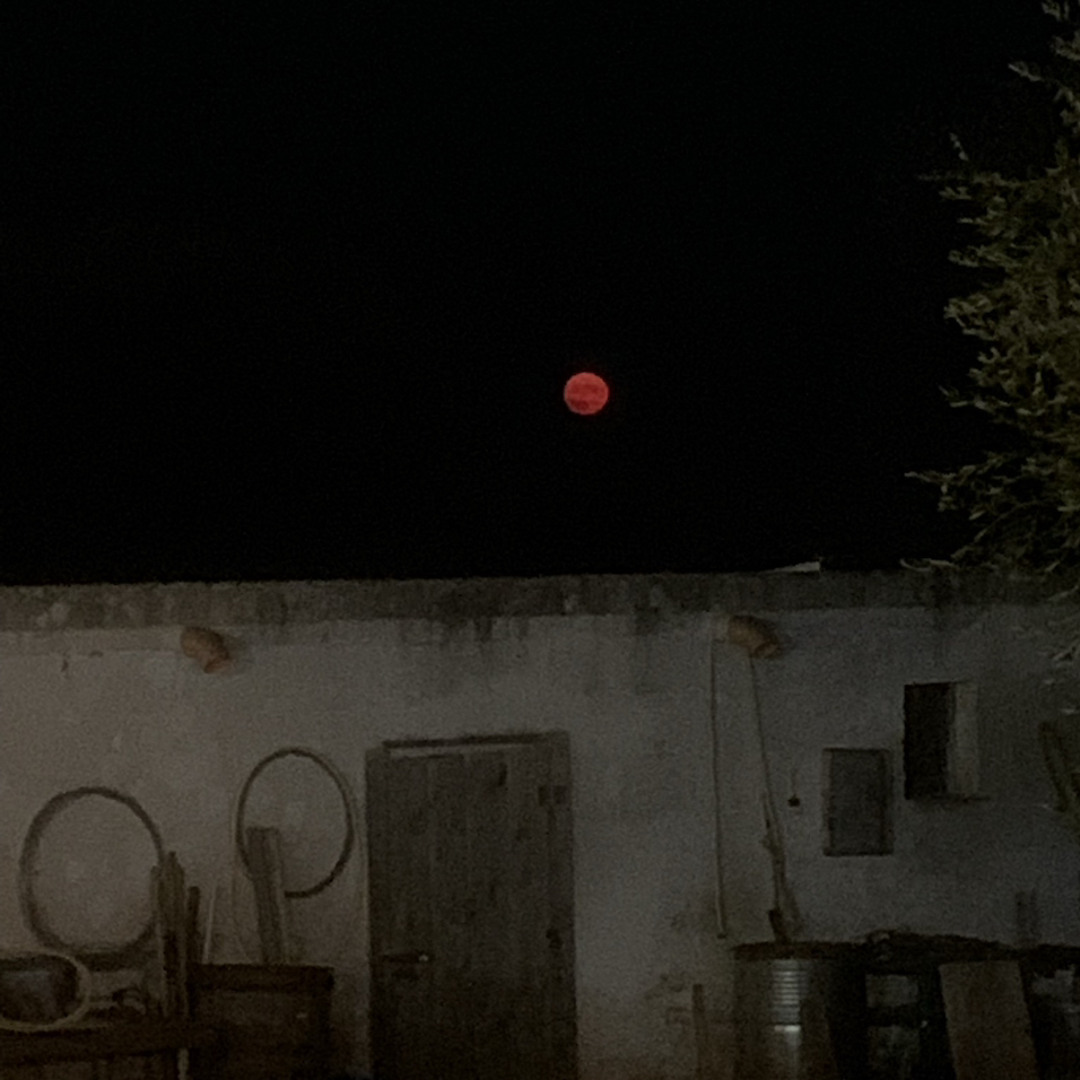 FRANK SINEGRO - BLOOD MOON
