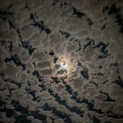 سورة البقره - بصوت ماهر المعيقلي - 🤍