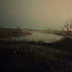 lonely