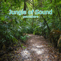Jungle of Sound