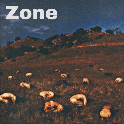 Zone (feat. Young Amirew)