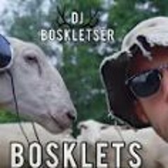 DJ BOSKLETSER - BOSKLETS
