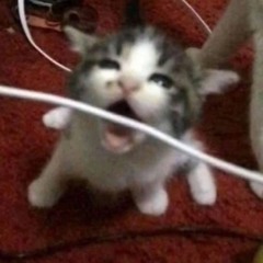 ＜(＾－＾)＞