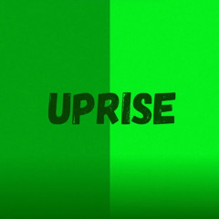 Rise Above