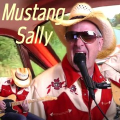 Mustang Sally - Cover