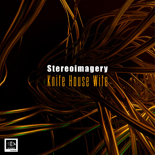 Stereoimagery - Hood Cracked