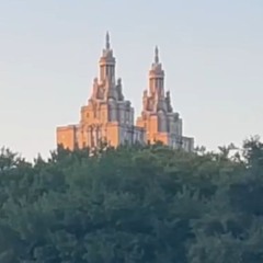 an ode to summer in new york