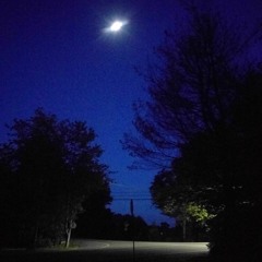 Previously Unseen Pictures (2020)