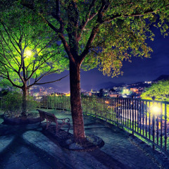 Les lumières Dans Le Parc