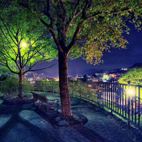 Les lumières Dans Le Parc