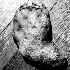 Spudfoot