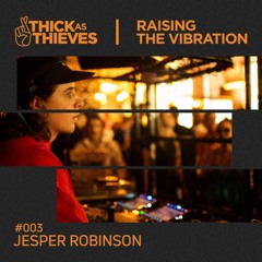 Raising the Vibration Mix #003 — JESPER ROBINSON