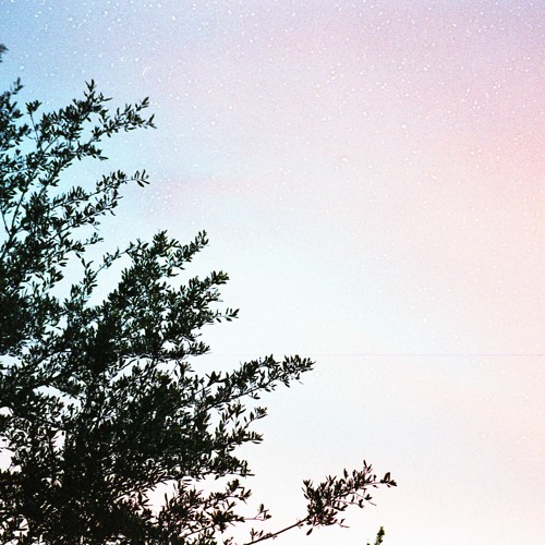 Stream amor vincit omnia w/ fazers by grant. | Listen online for free ...