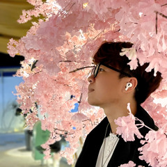 Ai Đợi Mình Được Mãi Remix