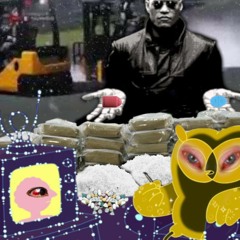 Forkliftcertified (ft. Bob-E)