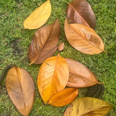 E-T-E-R-N-A-L (LIFE)