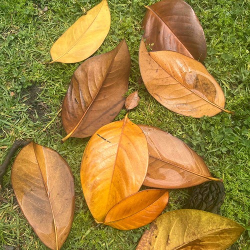 E-T-E-R-N-A-L (LIFE)