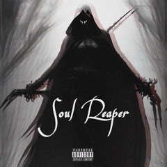 Soul Reaper