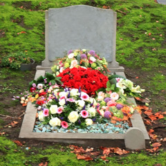 Flowers For Boys