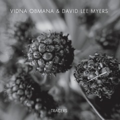 Vidna Obmana & David Lee Myers TRACERS Album Teaser